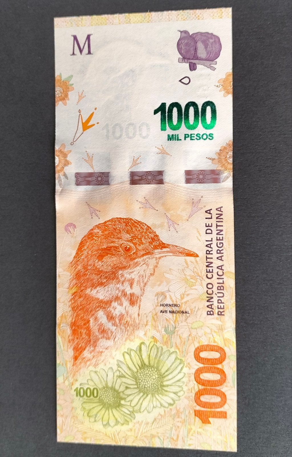 Argentinië - 1000 Pesos 2017 - Pick#366 UNC., Postzegels en Munten, Bankbiljetten | Amerika, Verzenden, Zuid-Amerika, Los biljet