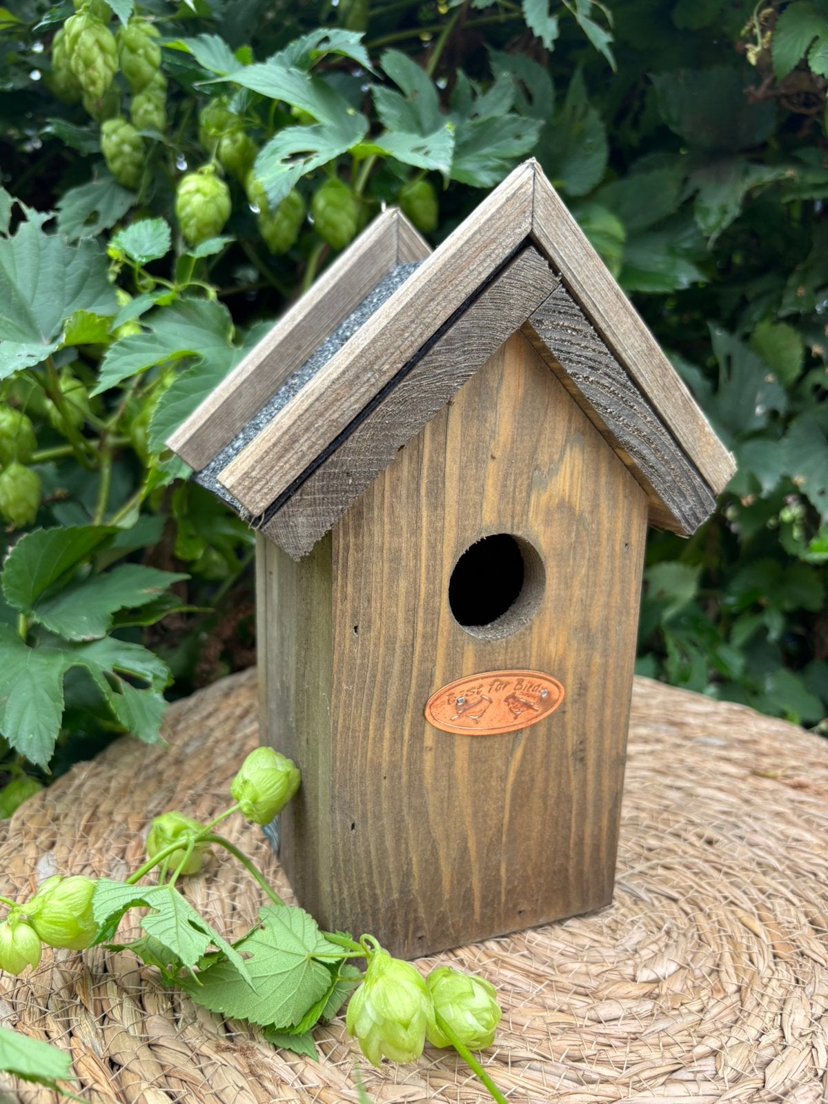 Vogelhuisje, Ophalen of Verzenden, Nieuw