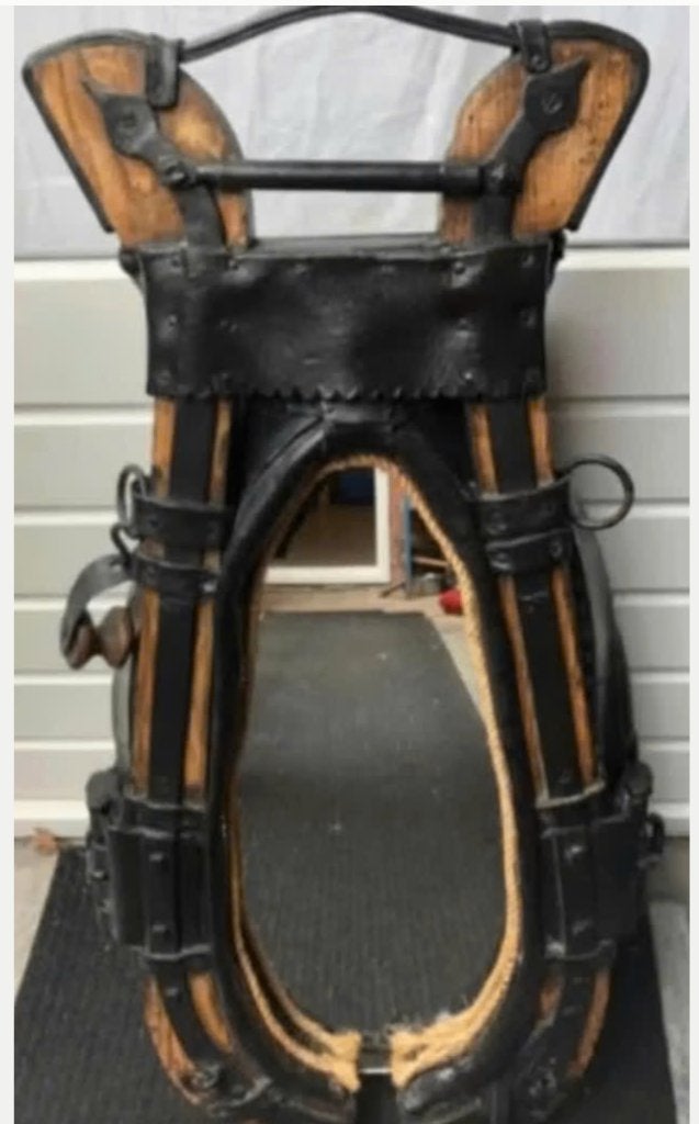 Originele paardenhaam te gebruiken als spiegel (95 x 45x15), Minder dan 50 cm, Gebruikt, Ophalen of Verzenden, Minder dan 100 cm