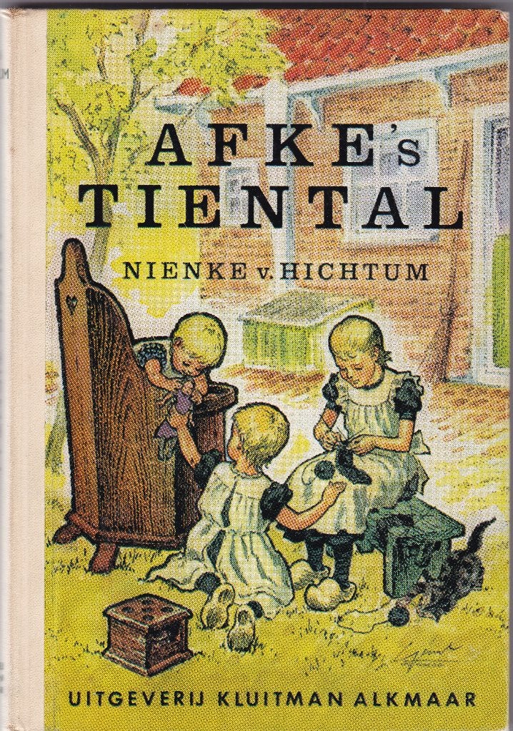 *Hichtum, N. van (Sjoukje Bokma - De Boer) – Afke’s tiental, Ophalen of Verzenden, Zo goed als nieuw, Hichtum, N. van