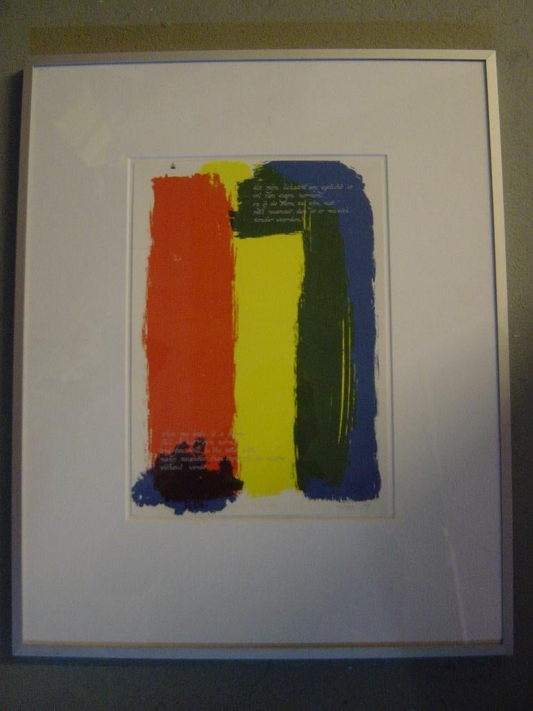 Litho, Antiek en Kunst, Kunst | Litho's en Zeefdrukken, Ophalen