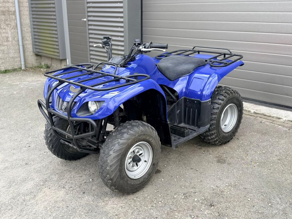 Yamaha grizzly 250, 1 cilinder, 250 cc
