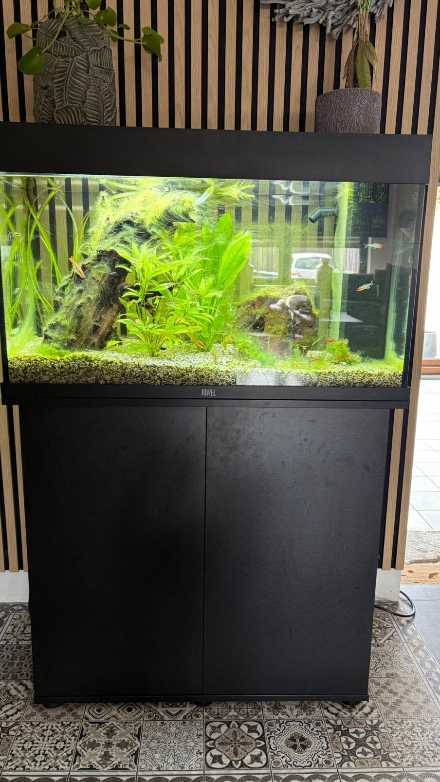 Juwel Rio 125 LED-Combinatie, Dieren en Toebehoren, Ophalen, Zo goed als nieuw, Gevuld zoetwateraquarium