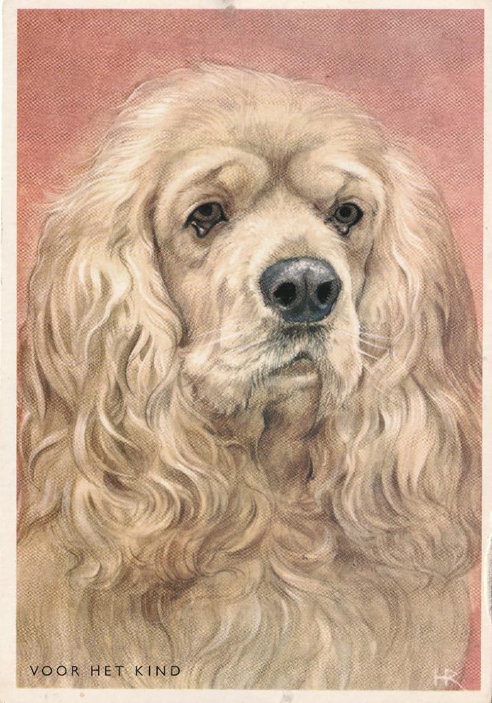 VOOR HET KIND SPANIEL JAREN 70 ZEER MOOIE OUDE KAART KN344, Verzamelen, Ansichtkaarten | Themakaarten, Ophalen of Verzenden, 1960 tot 1980