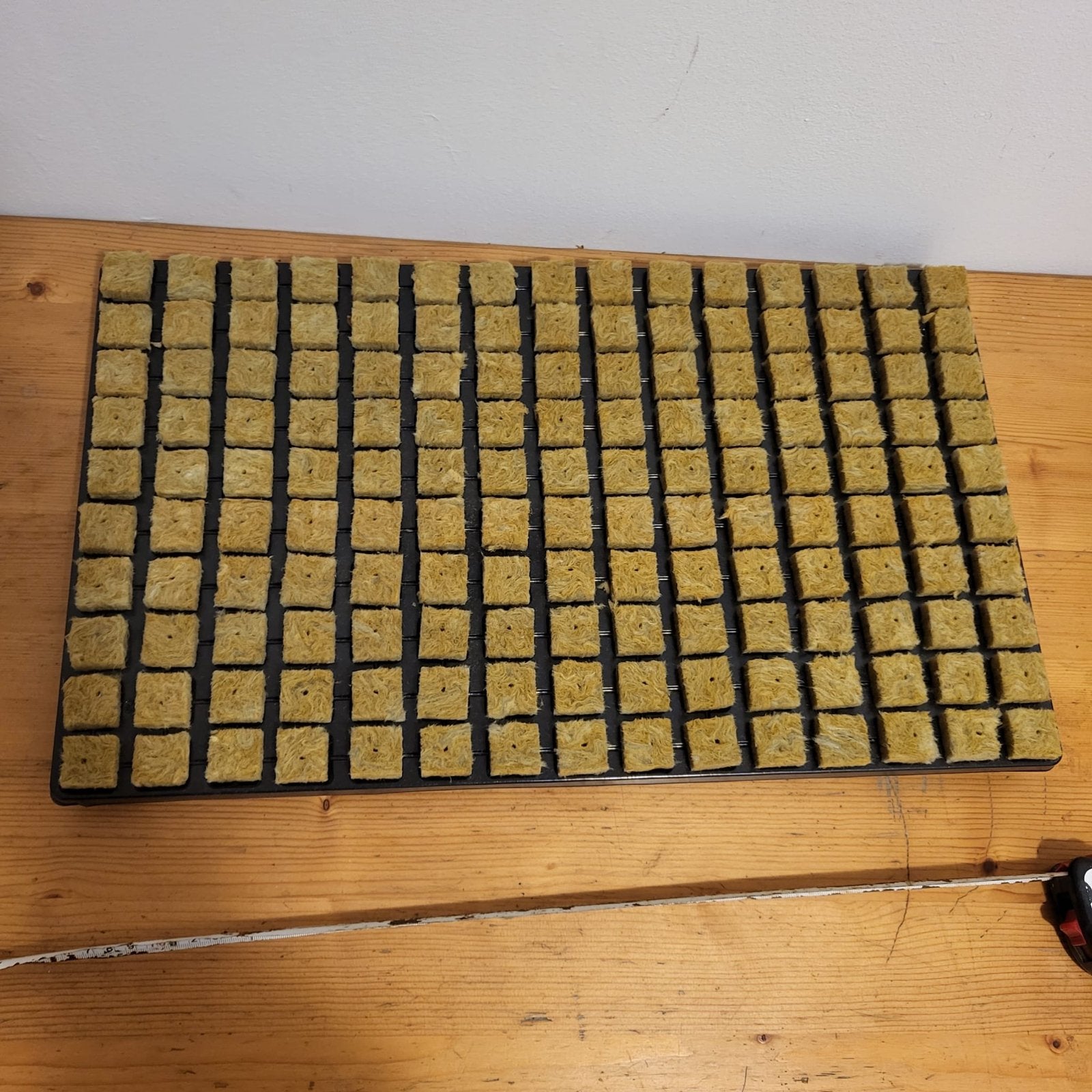 Steenwol kweekblokjes voor zaailingen en stekken, Tuin en Terras, Ophalen of Verzenden, Nieuw, Overige typen