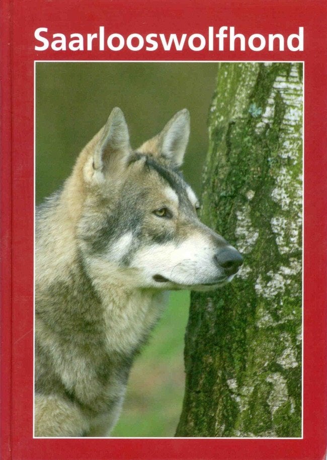 SAARLOOSWOLFHOND, Ophalen of Verzenden, Zo goed als nieuw, Honden