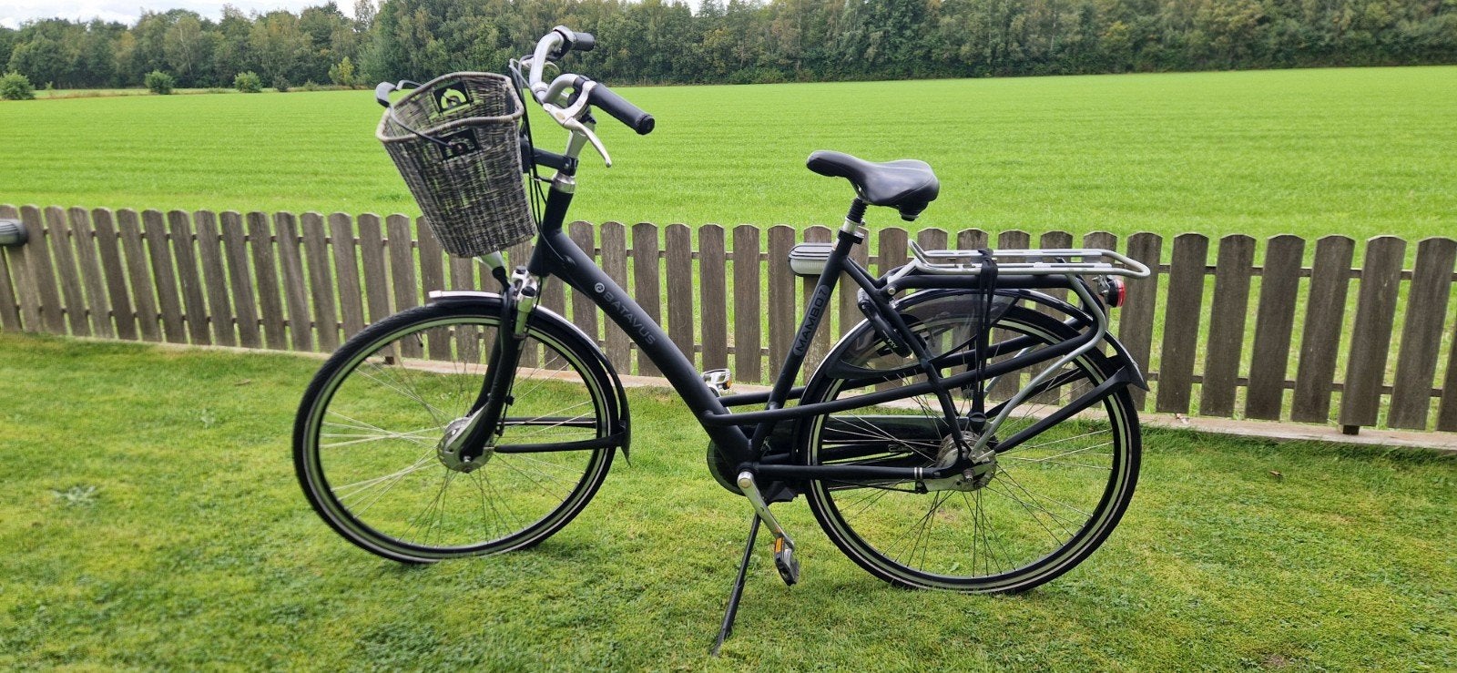 Damesfiets Batavus Mambo, Fietsen en Brommers, Ophalen, Gebruikt, Batavus, 56 cm of meer
