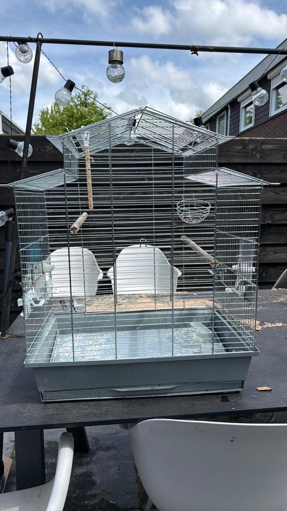 Vogelkooi groot, Ophalen, Zo goed als nieuw, Metaal, Vogelkooi