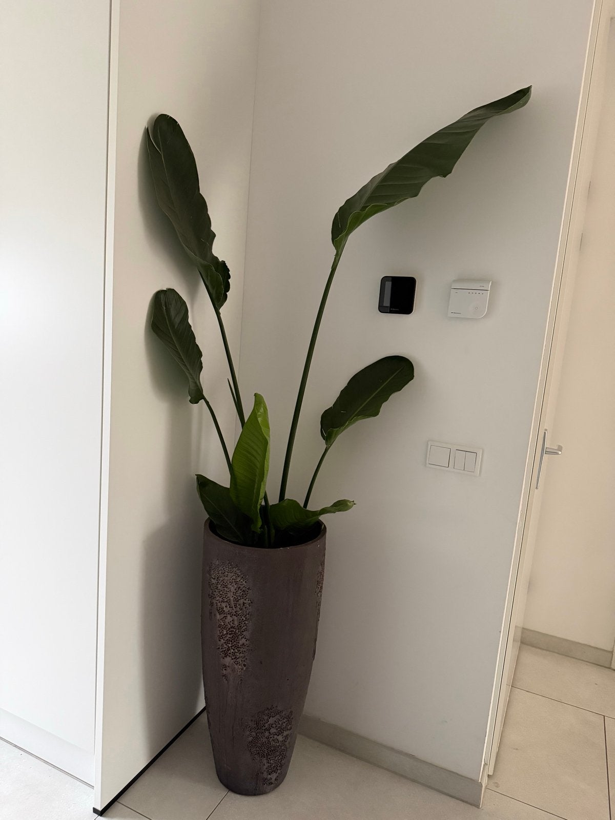 Grote bloempot/plantenbak met unieke textuur, Tuin en Terras, 25 tot 40 cm, Rond, Binnen, Ophalen of Verzenden