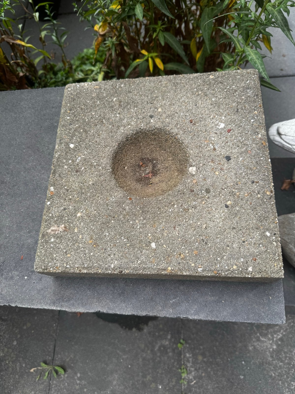 Massieve Knikker Koetje Tegel 30x30x5,5 cm, Tuin en Terras, Overige Tuin en Terras, Ophalen of Verzenden, Gebruikt