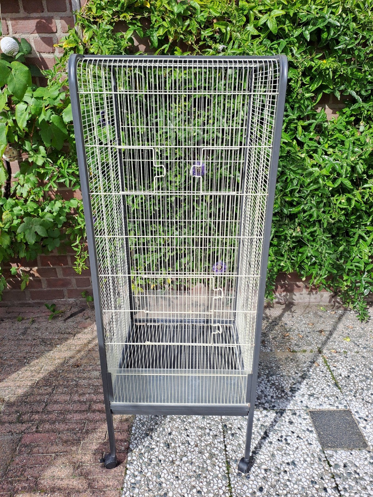 Grote hoge vogelkooi op poten met wielen. Metaal frame., Ophalen, Gebruikt, Metaal, Vogelkooi