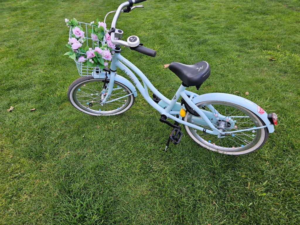 Alpina Ocean Mintgroen 18 inch kinderfiets, Ophalen
