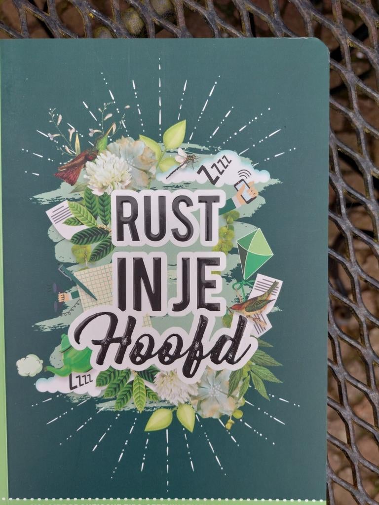 Rust in je hoofd, Boeken, Mode, Zo goed als nieuw, Ophalen of Verzenden