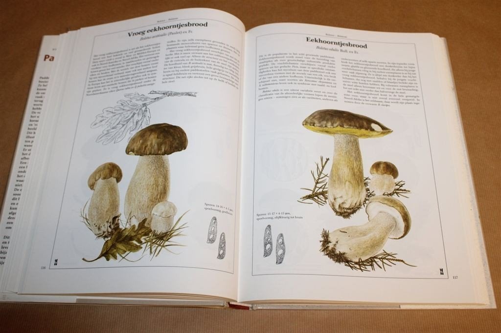 Boek in Kleur Over Paddestoelen — Meer Dan 300 Soorten, Ophalen of Verzenden, Gelezen, Bloemen, Planten en Bomen