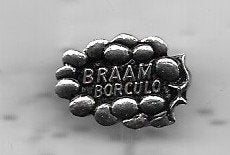 BORCULO BRAAM METALEN SPELD, Ophalen of Verzenden, Gebruikt, Stad of Land, Speldje of Pin