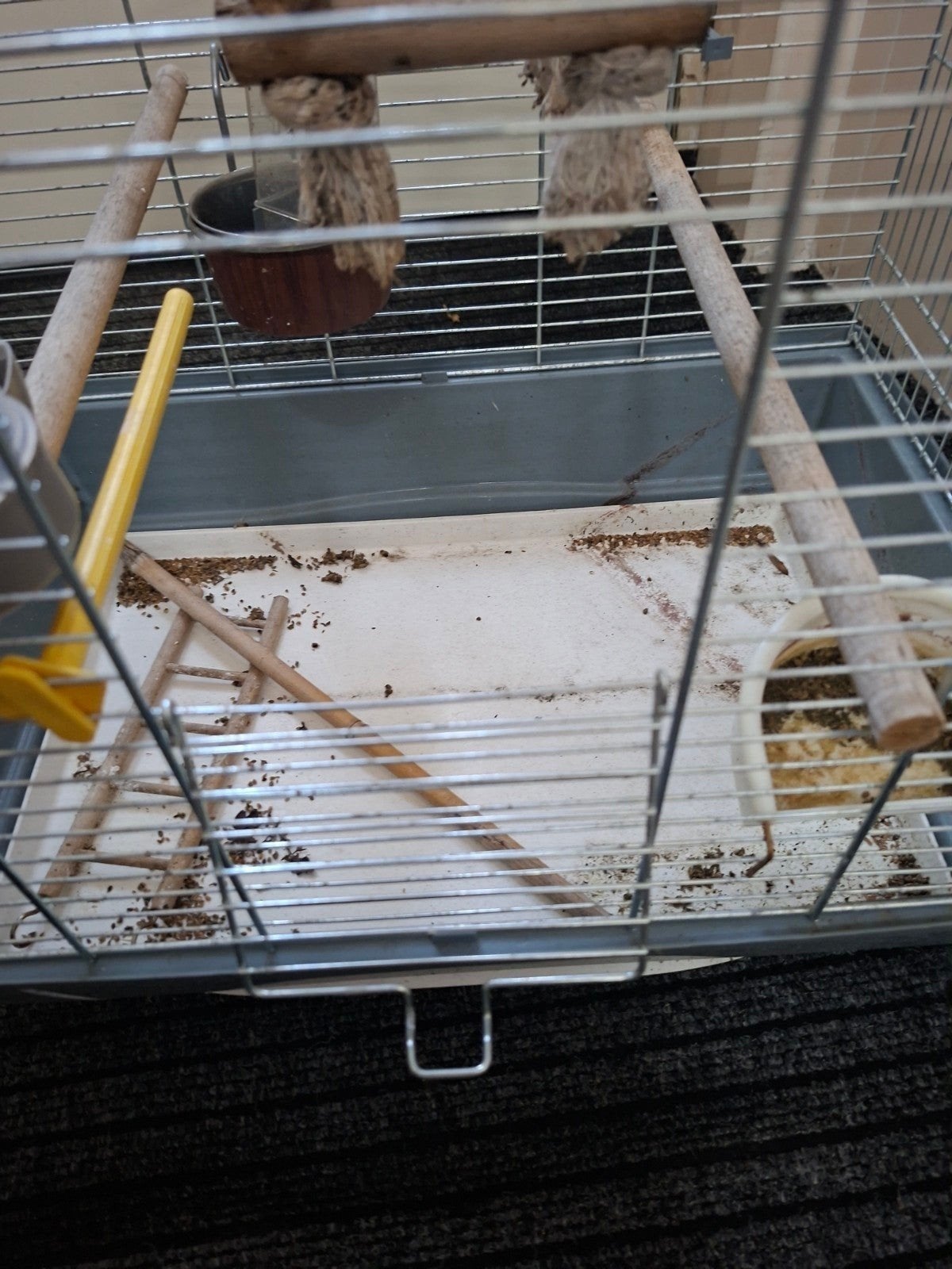 Grote Vogelkooi, Ophalen of Verzenden, Zo goed als nieuw, Metaal, Vogelkooi
