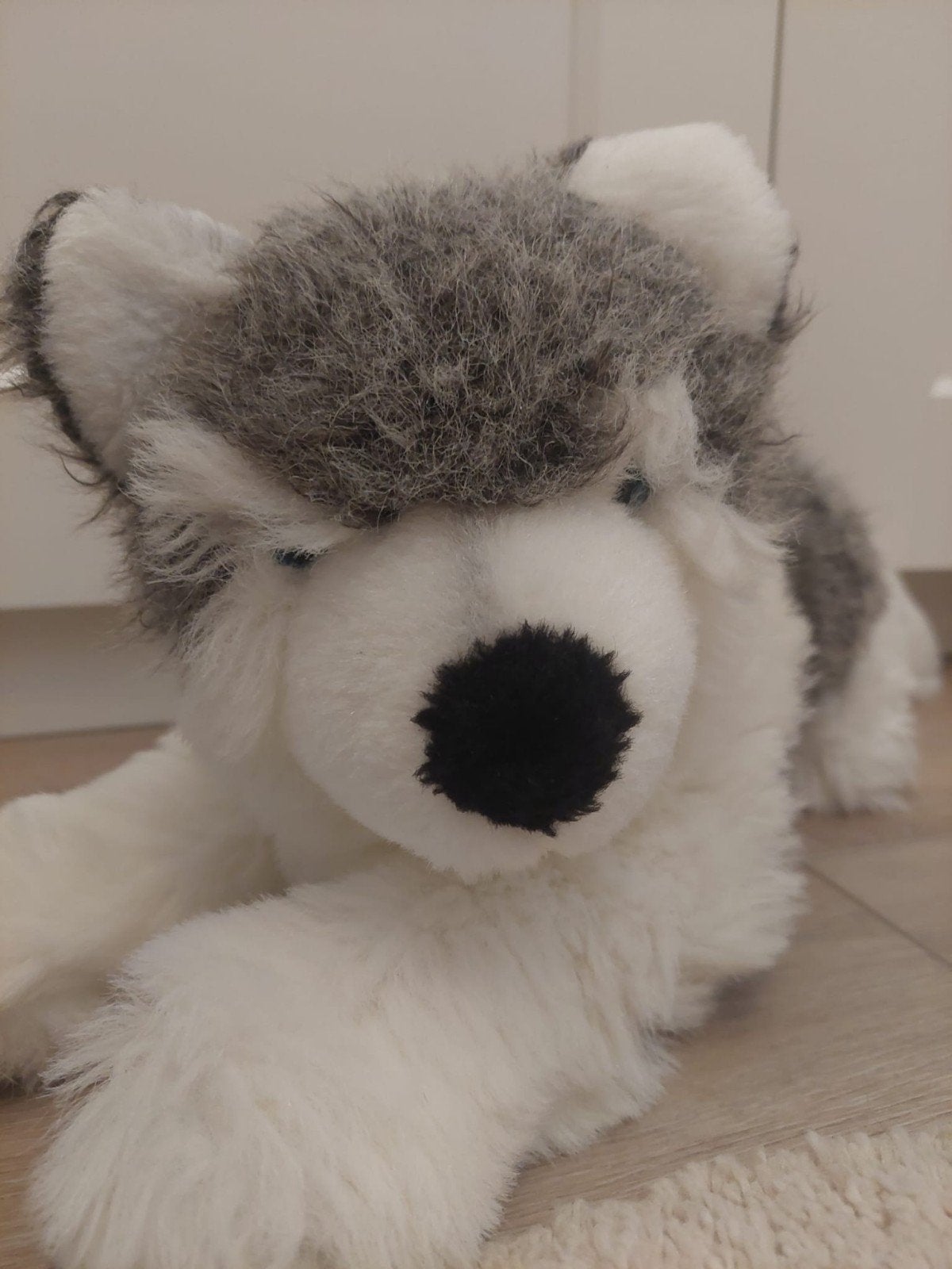 Husky pluche, Ophalen, Zo goed als nieuw, Overige typen