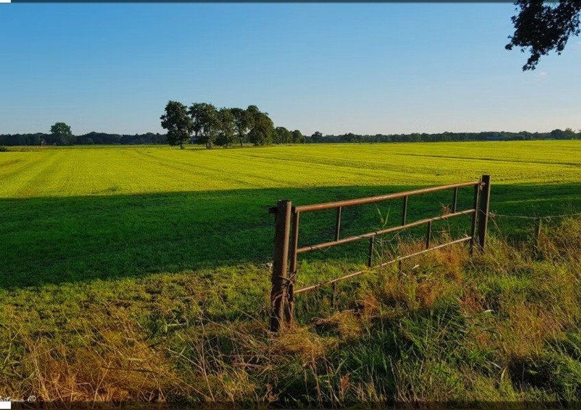 Te huur weide of grond, Dieren en Toebehoren