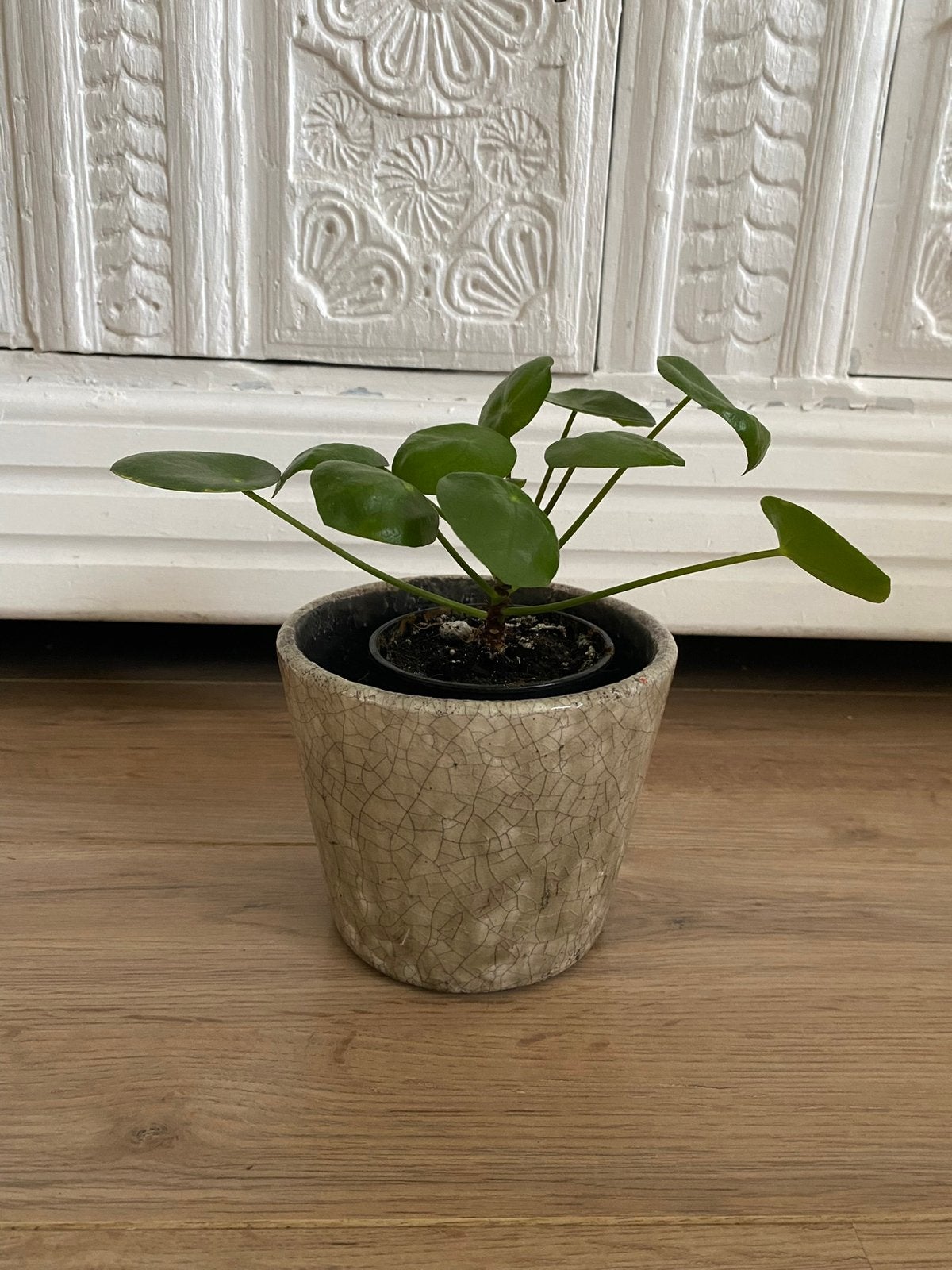 Bloempotje - pot - plantenbak - bloempot voor binnen, Ophalen, Rond, Zo goed als nieuw, Balkon