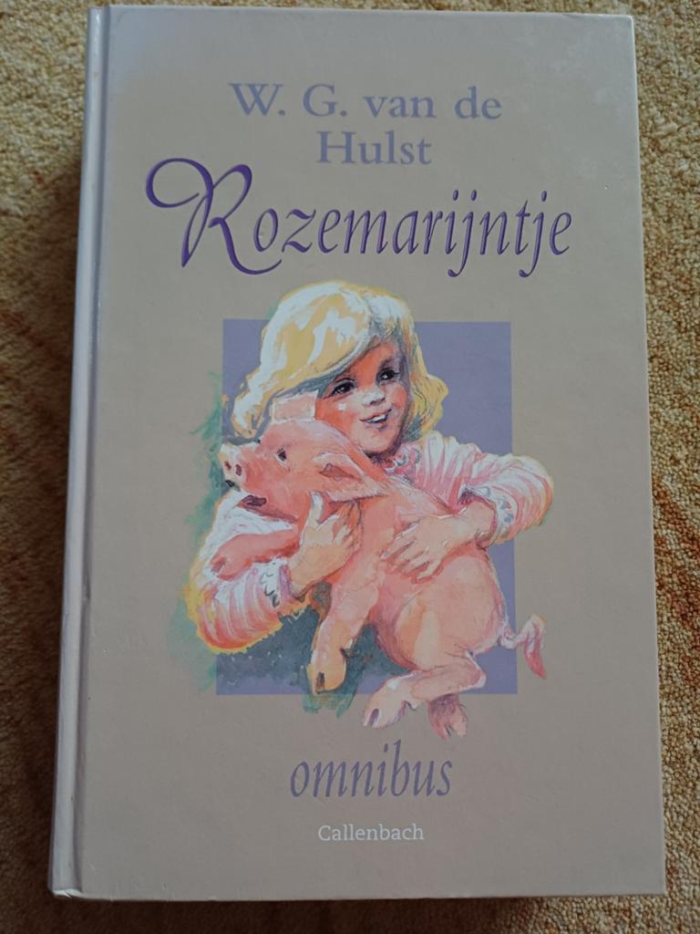 W.G. van de Hulst - Rozemarijntje Omnibus, Boeken, Ophalen of Verzenden, Gelezen, W. G. van de Hulst, Fictie algemeen
