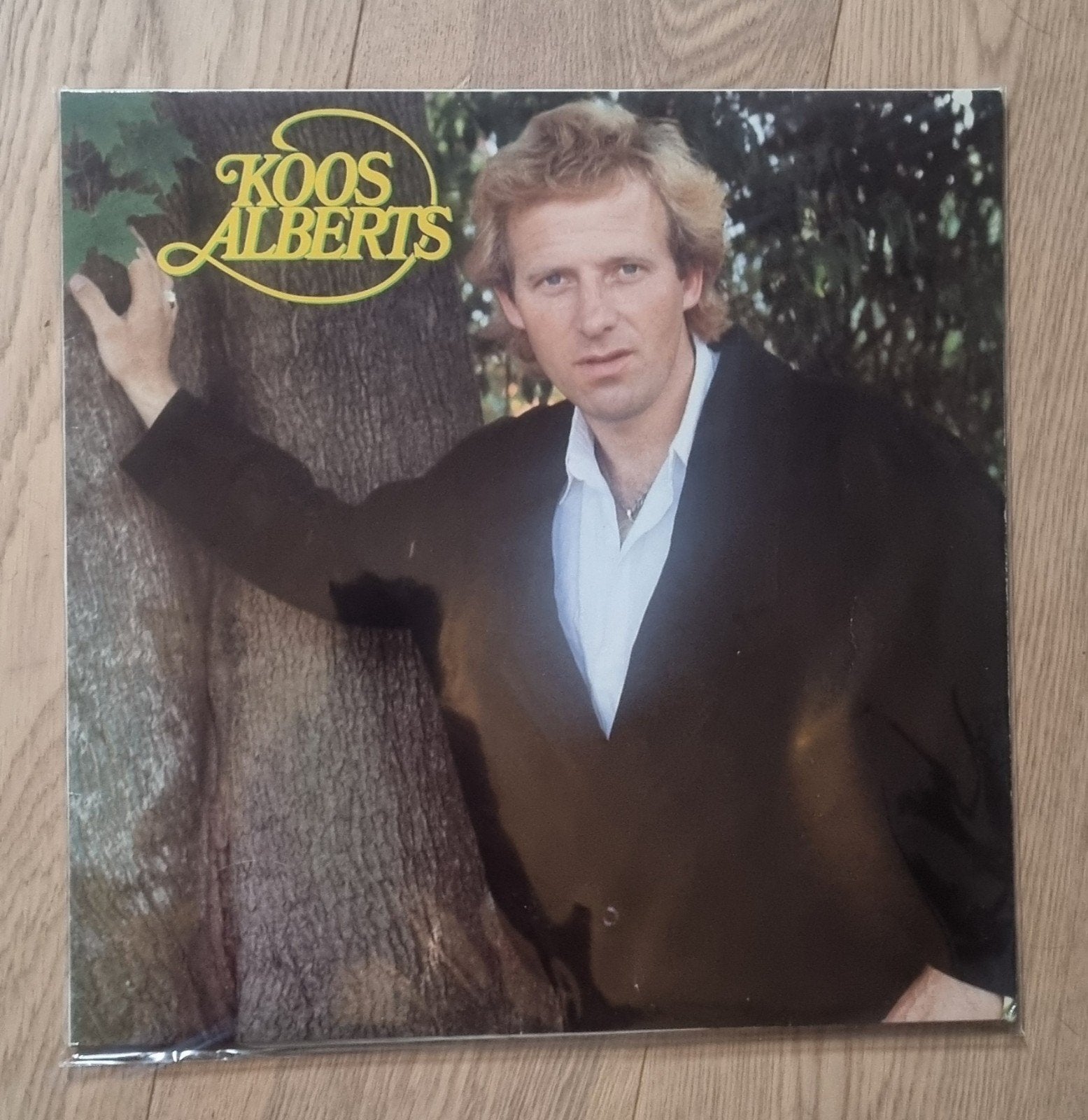Koos Alberts - Koos Alberts LP (1984), LP, Gebruikt, Ophalen of Verzenden, Levenslied of Smartlap