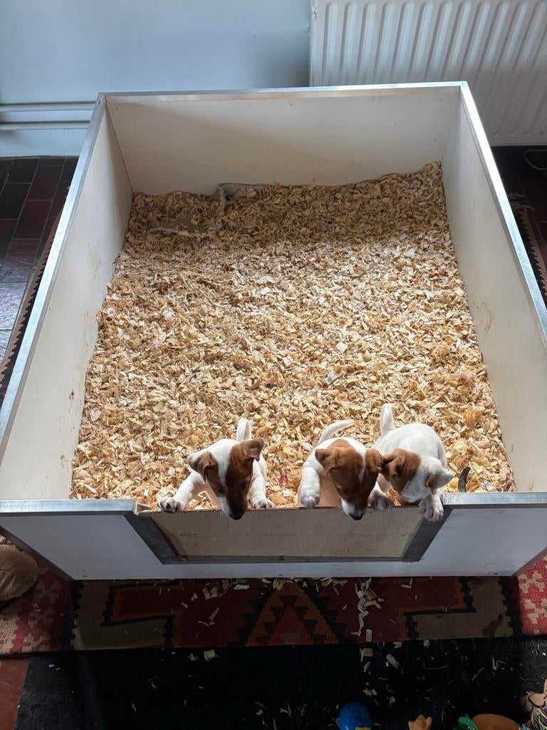 Werpkist 122x 103 x46, Dieren en Toebehoren, Ophalen, Gebruikt