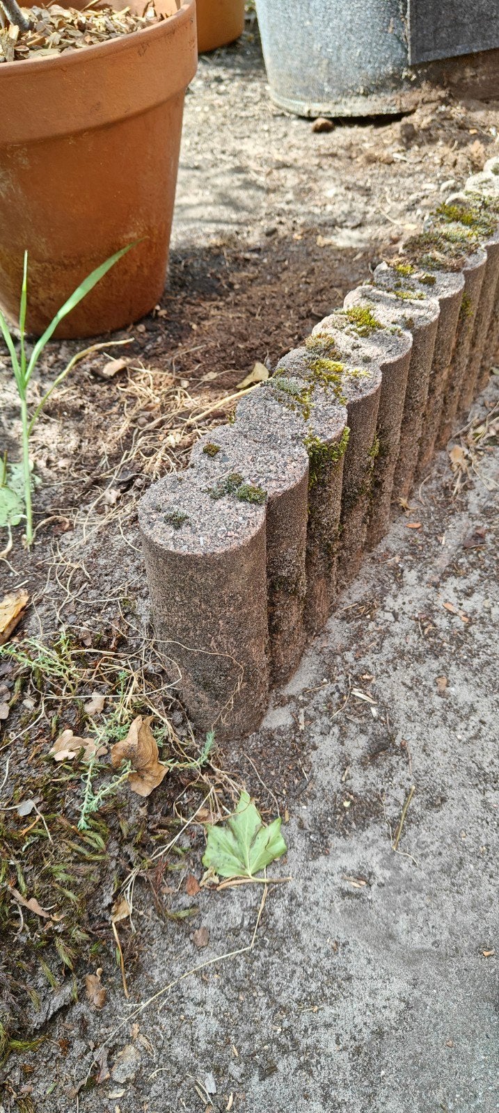 Betonnen border/palissade 11 stuks 50x26x5.5cm, Ophalen, Gebruikt, 25 tot 50 cm, 25 cm of meer