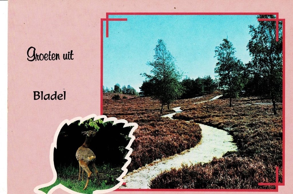 Bladel, Ophalen of Verzenden, Gelopen, Noord-Brabant