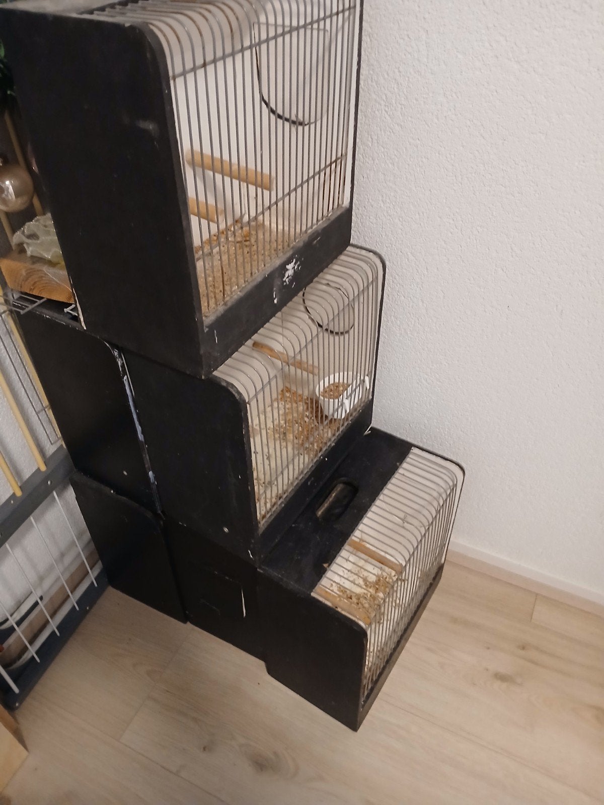 Tentoonstelling  kooien  5x, Dieren en Toebehoren, Vogels | Hokken en Kooien, Ophalen, Hout, Vogelkooi