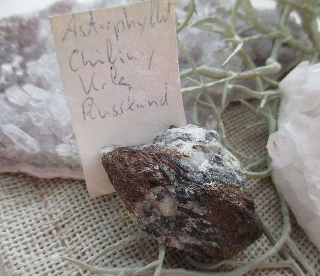 Astrophyliet ruw - van het Chibiny massief - Kola, Rusland, Ophalen of Verzenden, Mineraal
