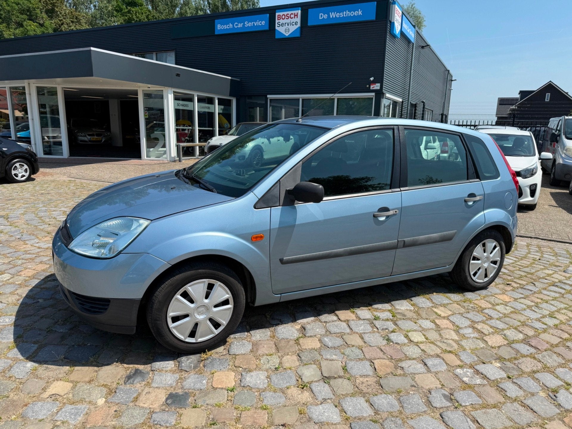 Ford Fiesta 1.3-8V Champion, 1299 cc, 4 cilinders, Blauw, Origineel Nederlands