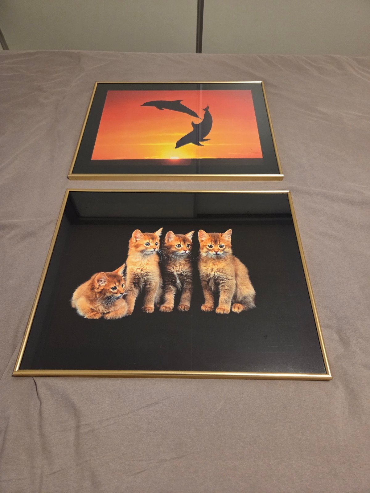 Schilderijen: Katten en Dolfijnen (2 stuks) 50x40 cm, Ophalen