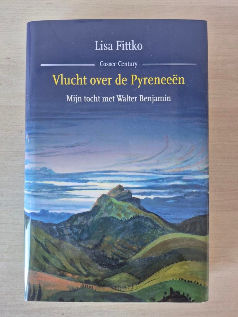 Vlucht over de Pyreneeën | Lisa Fittko | oorlogsgeschiedenis, Boeken, Europa, Ophalen of Verzenden, Zo goed als nieuw, 20e eeuw of later