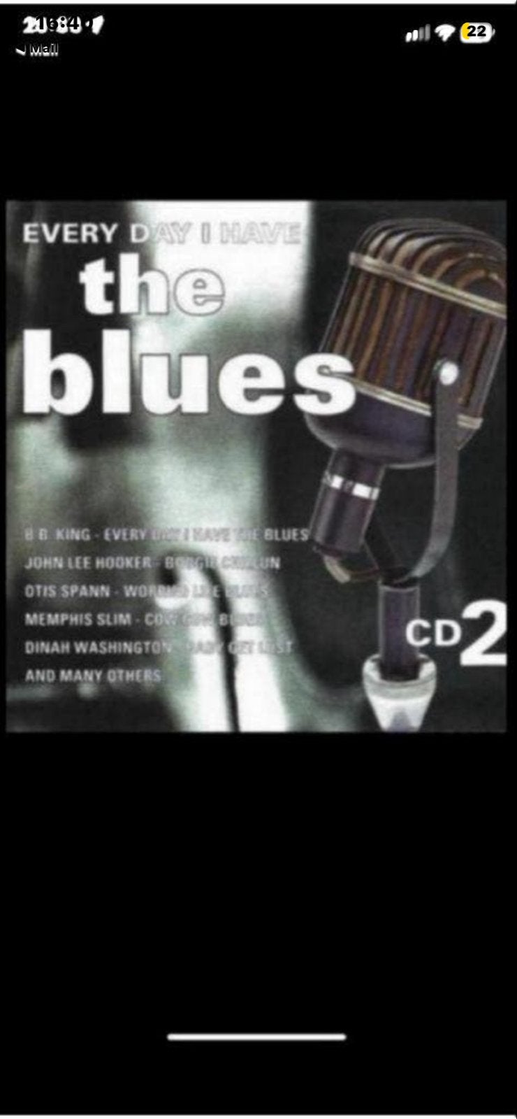 Every Day I Have The Blues - CD2 (Diverse Artiesten), Ophalen of Verzenden, Gebruikt, Blues, Album