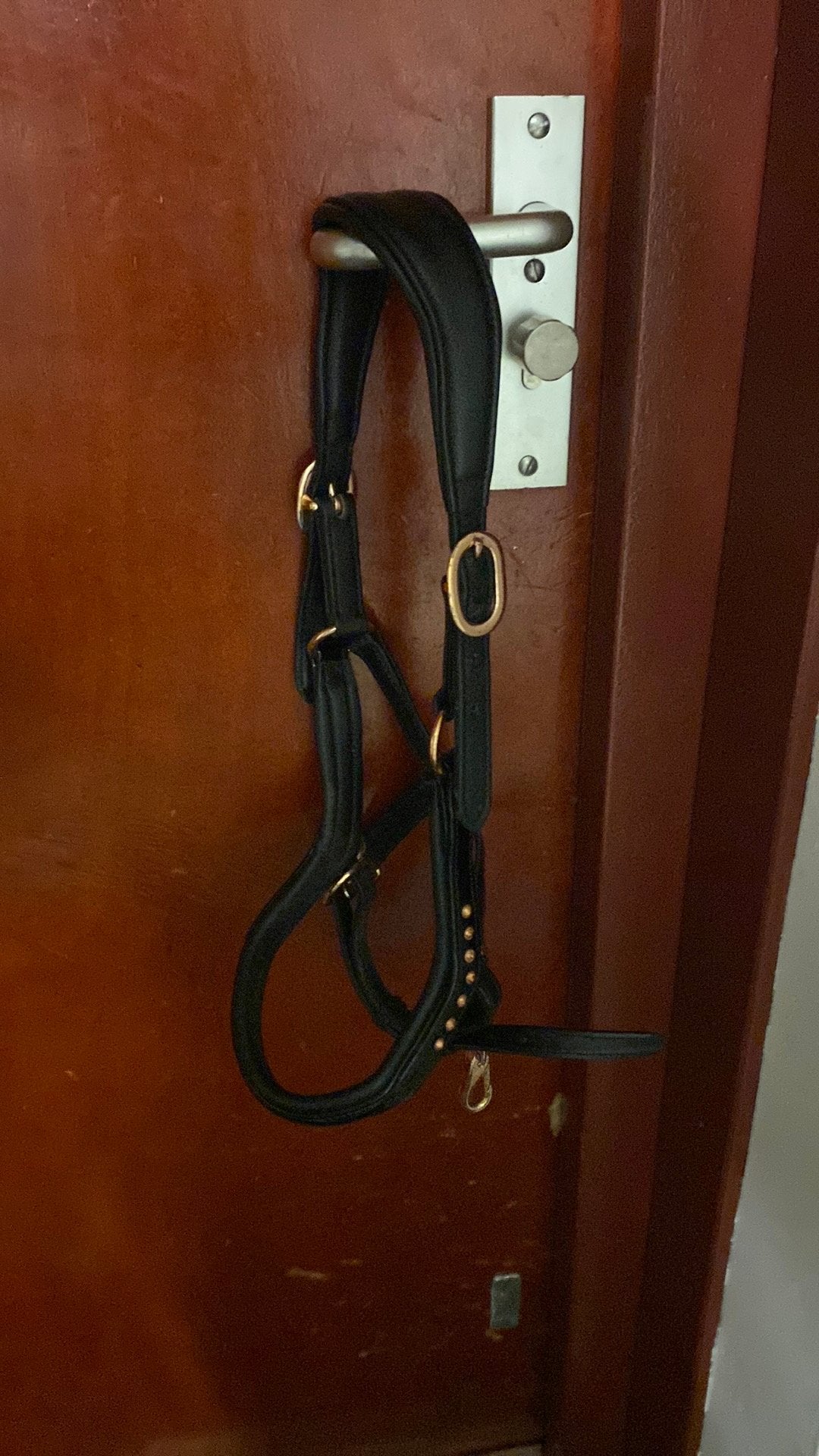Leren halster maat pony!, Ophalen of Verzenden, Zo goed als nieuw, Halster, Pony