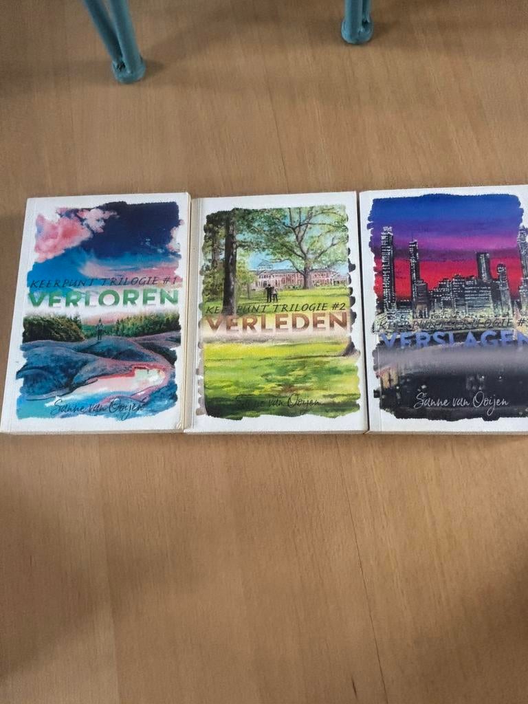 Verslagen/Verleden/Verloren, Ophalen of Verzenden