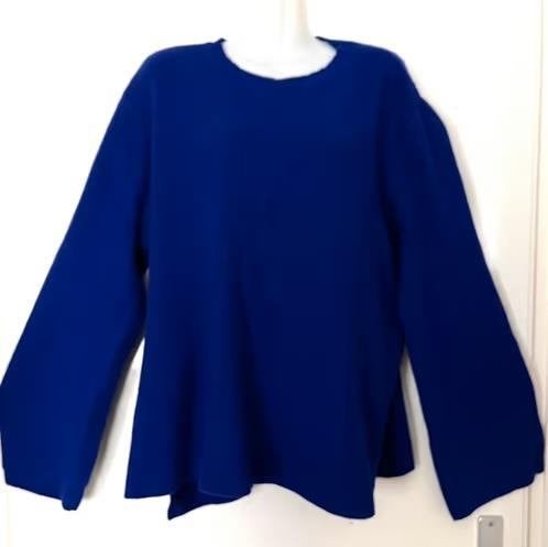 Jasper Conran paarse trui maat 48[v], Kleding | Dames, Ophalen of Verzenden, Zo goed als nieuw, Maat 46/48 (XL) of groter, Paars