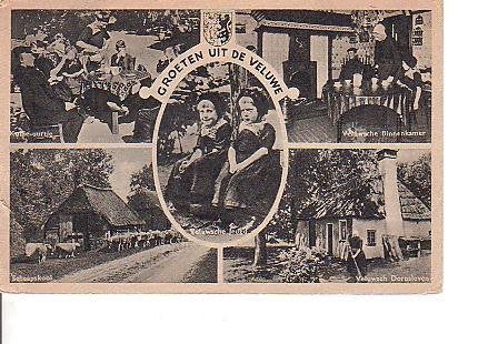 Ansichtkaart	Veluwe	5-luik, Verzenden, 1940 tot 1960, Gelopen, Gelderland