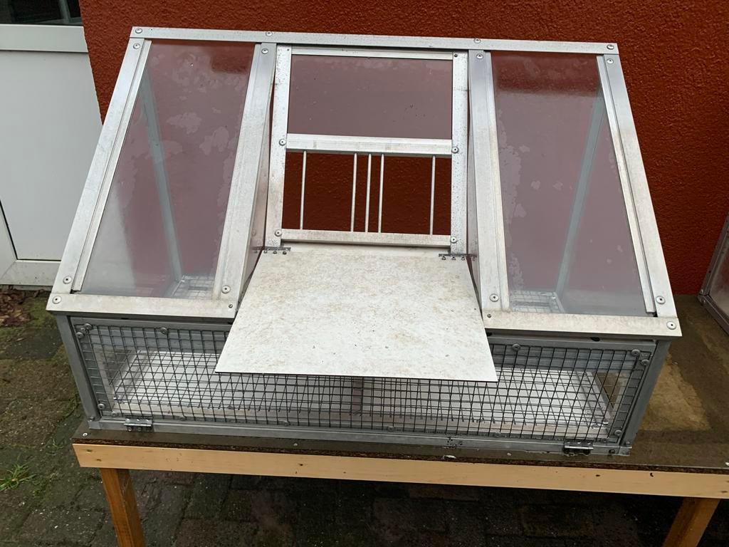 3x prachtige kwaliteits spoetnikken te koop!!, Geslacht onbekend, Postduif