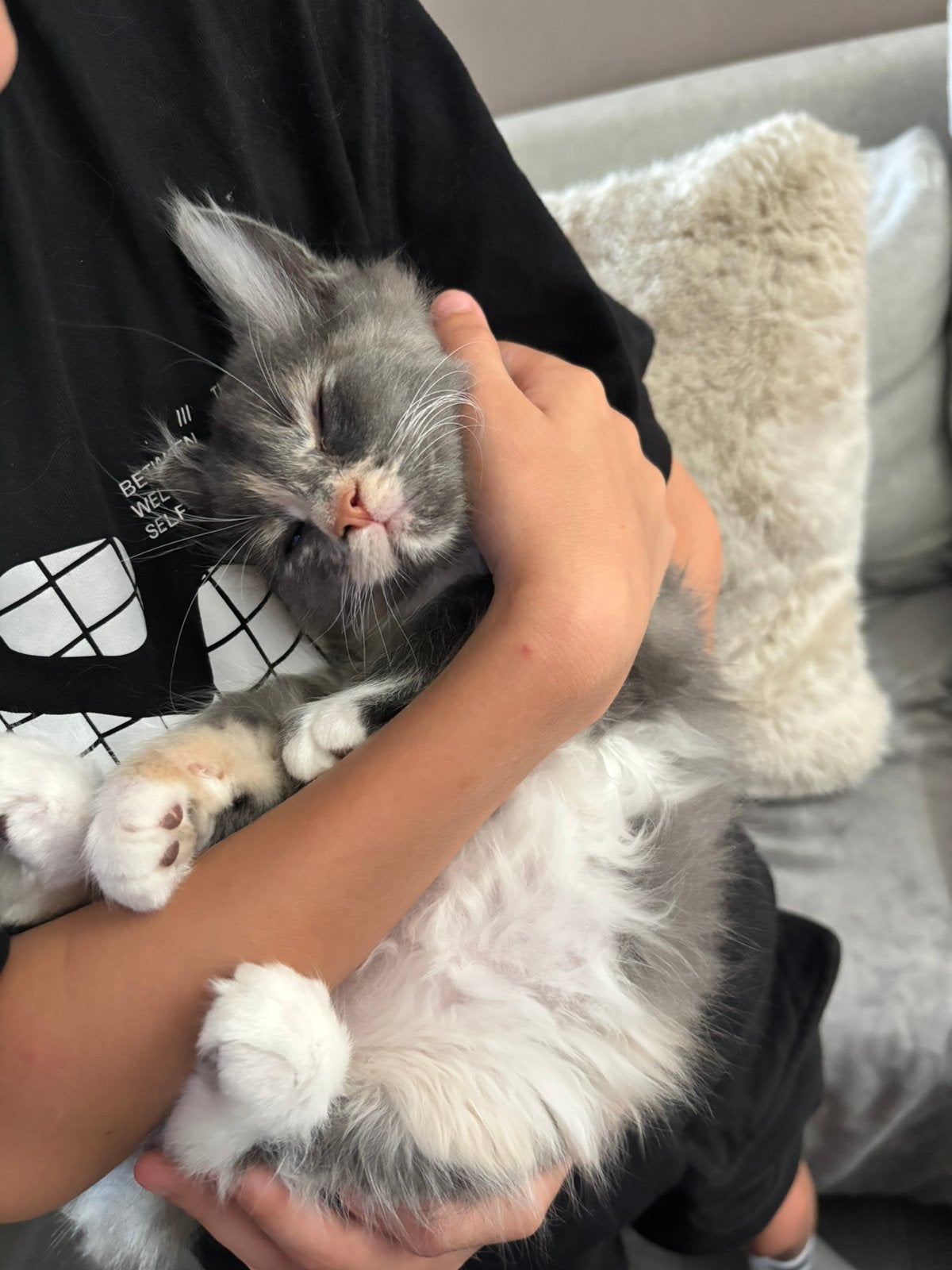 Maine Coons kittens PapaXXL LAATSTE vrouwtje  “Mag weg”, Dieren en Toebehoren, Meerdere dieren, Ontwormd