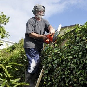 Tuinman nodig?, Tuin en Terras, Ophalen of Verzenden, Volle zon, Overige soorten