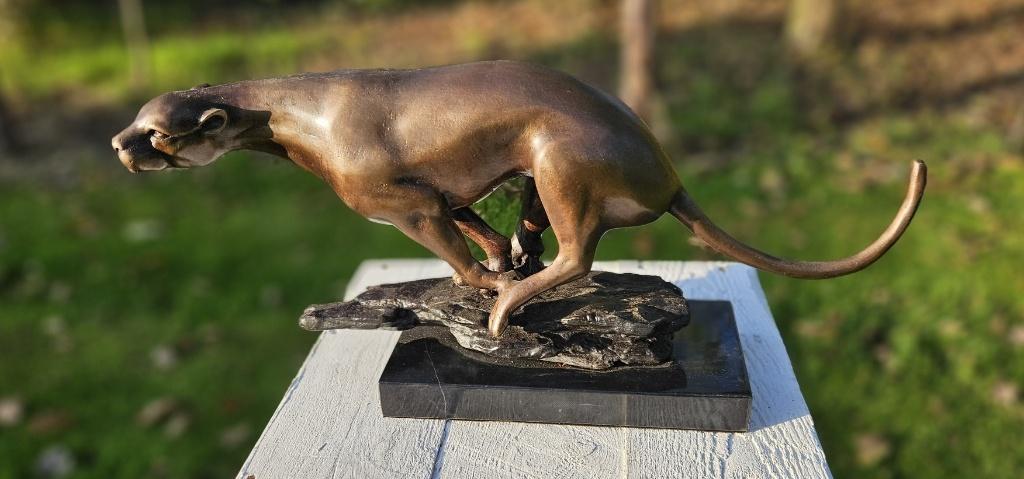 JACHTLUIPAARD / BRONZEN BEELD / cheetah / JAGUAR, Ophalen of Verzenden, Opgezet dier