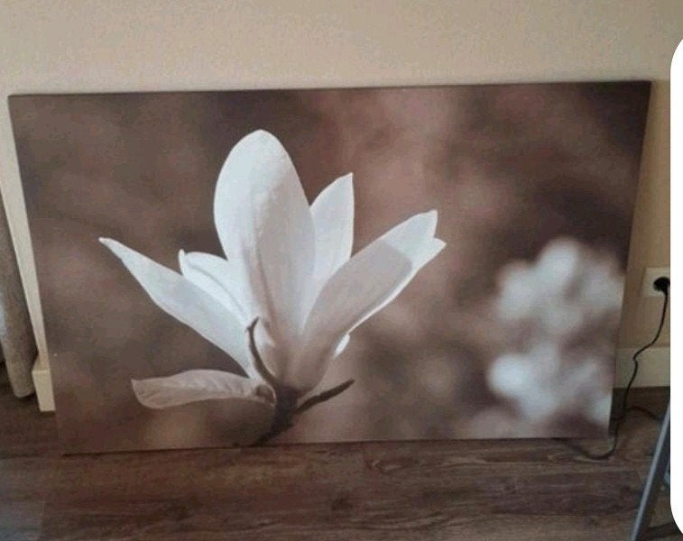 Ikea canvas schilderij magnolia, Ophalen, Zo goed als nieuw, Schilderij, 75 cm of meer