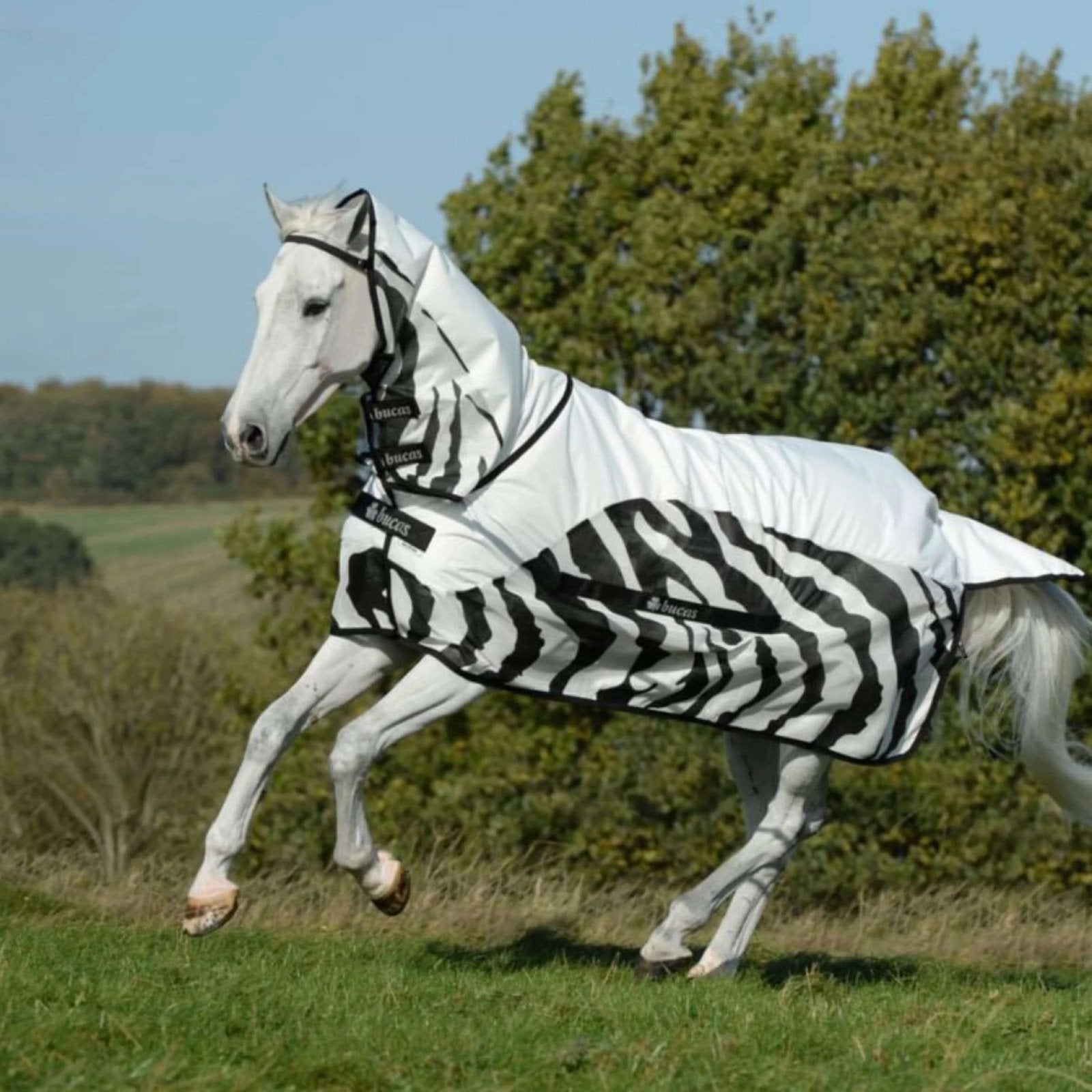 NIEUWE Bucas Buzz Off Rain Zebra regendeken vliegendeken, Dieren en Toebehoren, Paarden en Pony's | Dekens en Dekjes, Ophalen of Verzenden