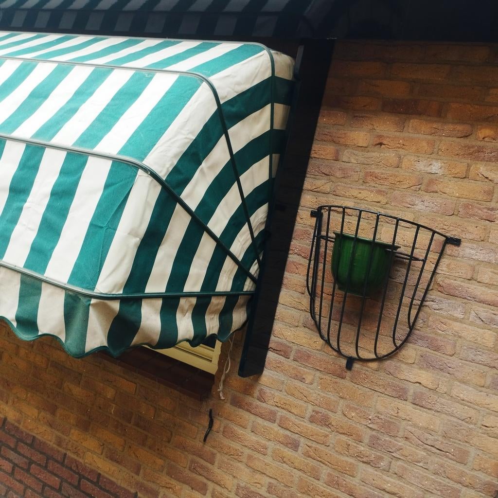 Markies, Overige typen, Nieuw, Ophalen of Verzenden, Minder dan 250 cm