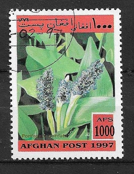 Afghanistan 1999, Ophalen of Verzenden, Gestempeld, Dier of Natuur