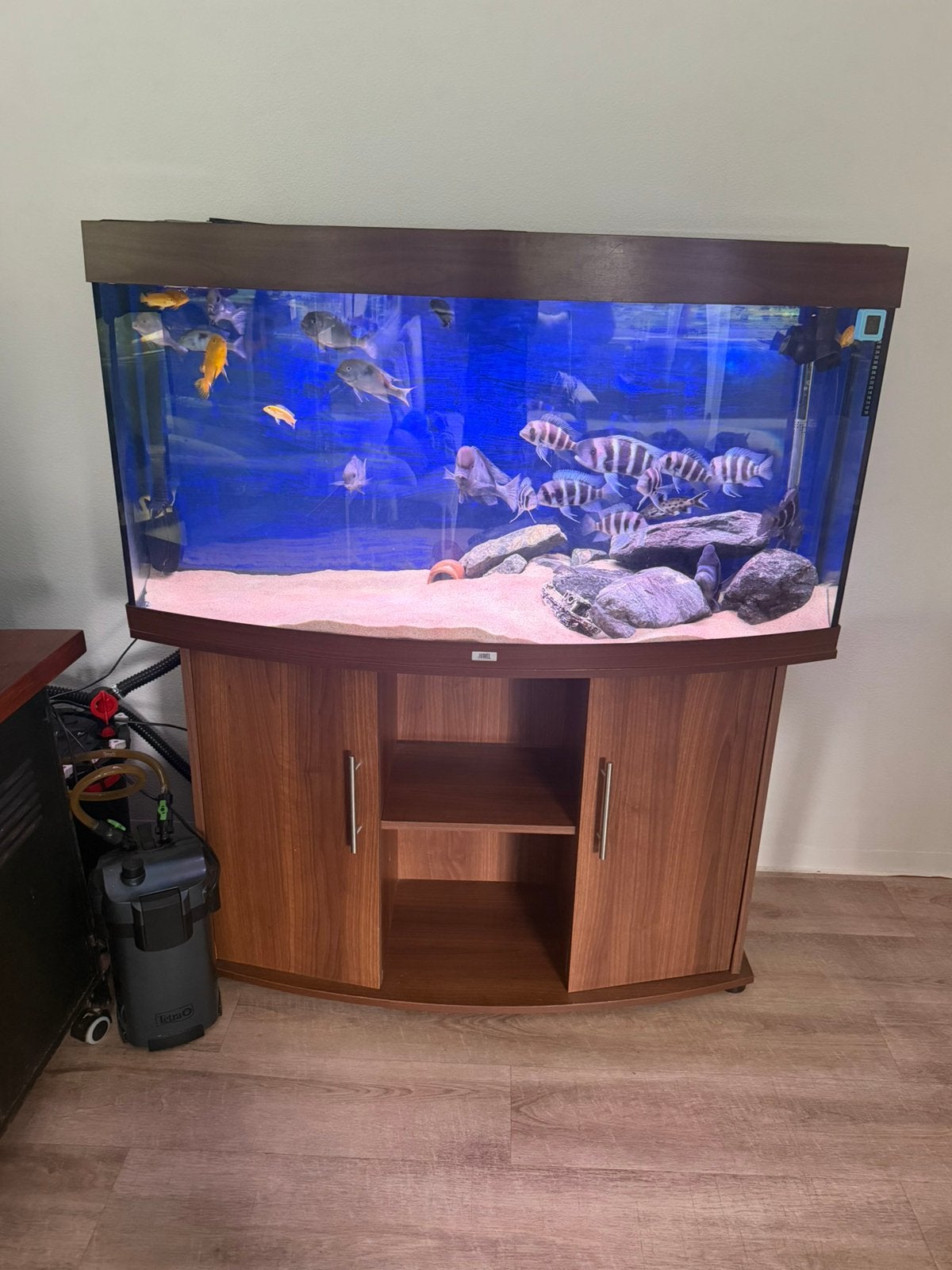 Juwel aquarium, Ophalen of Verzenden, Leeg aquarium