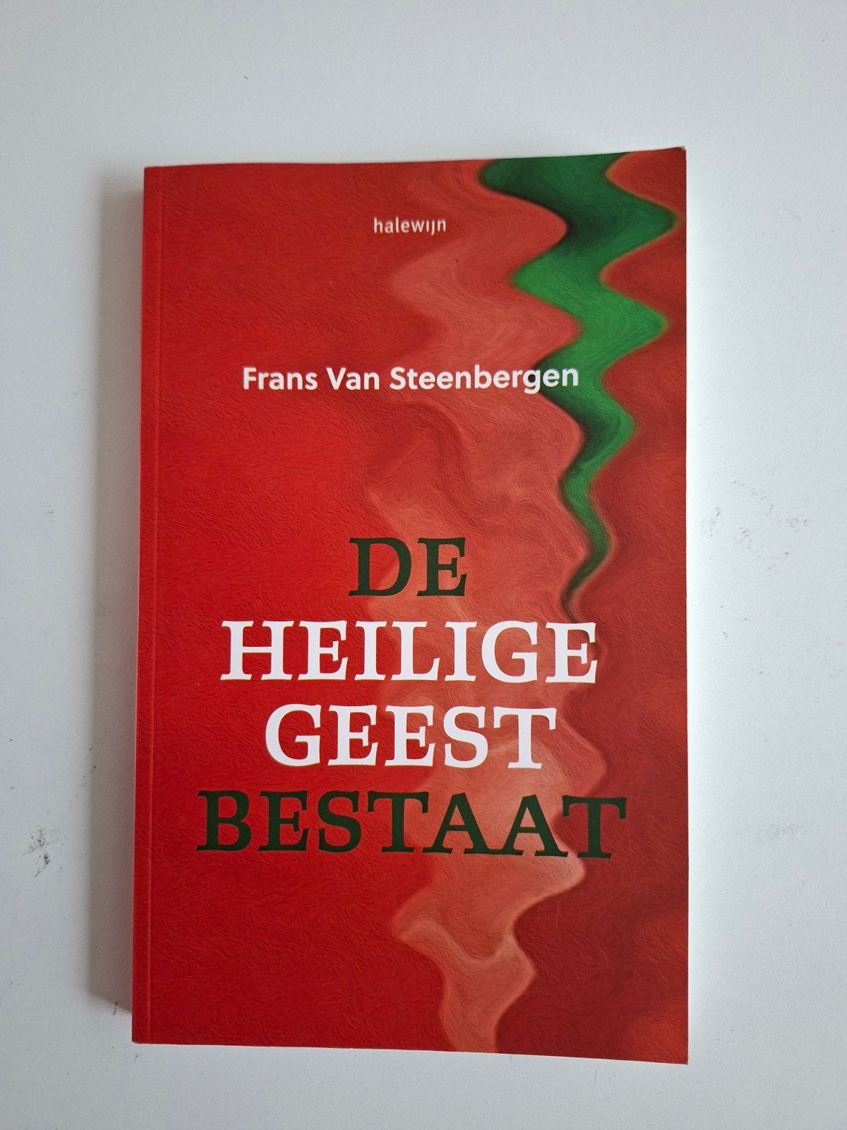 De Heilige Geest Bestaat - Frans Van Steenbergen, Achtergrond en Informatie, Spiritualiteit algemeen, Ophalen of Verzenden, Zo goed als nieuw