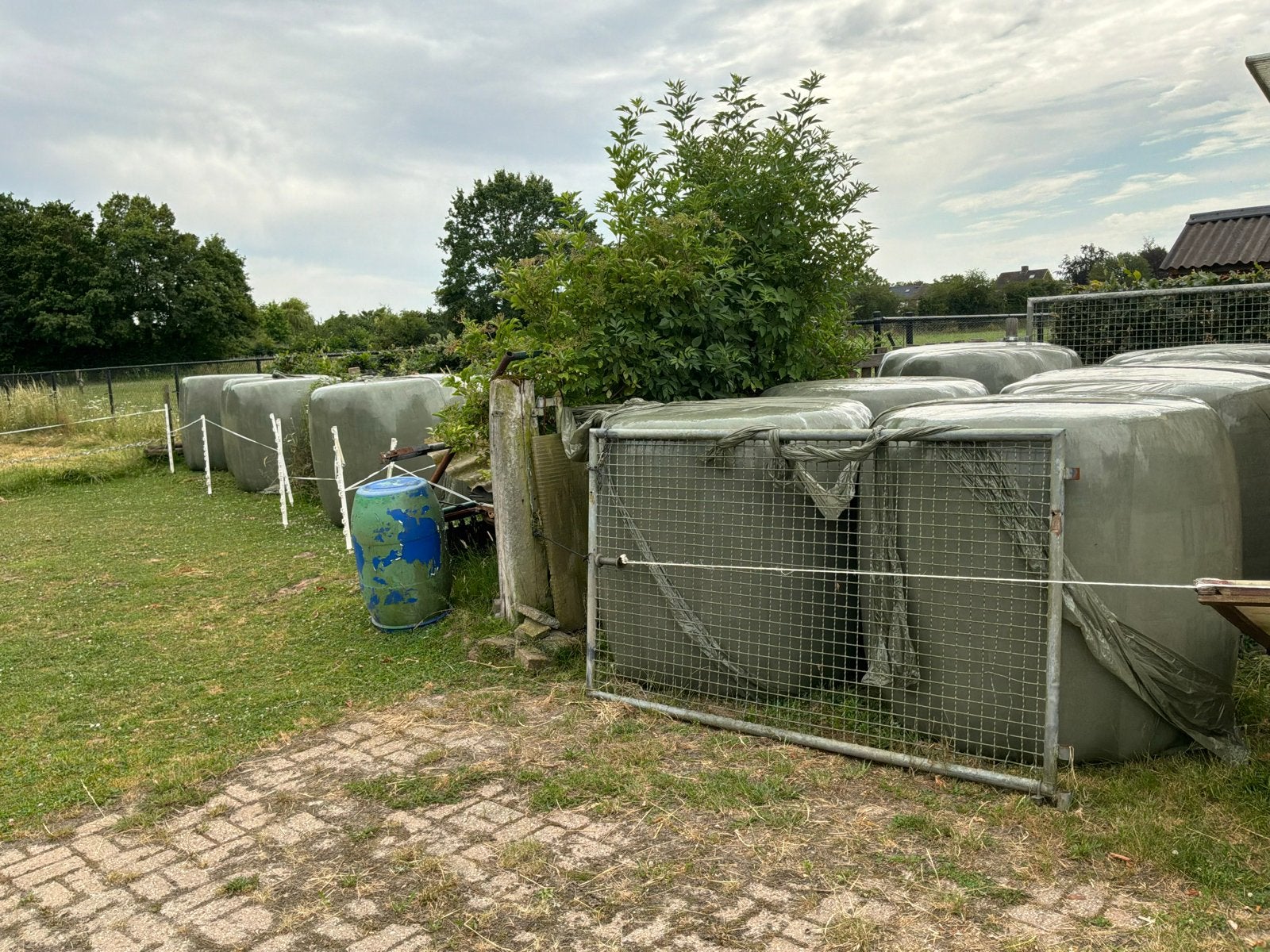 Voordroog hooi - 10 grote balen, Ophalen