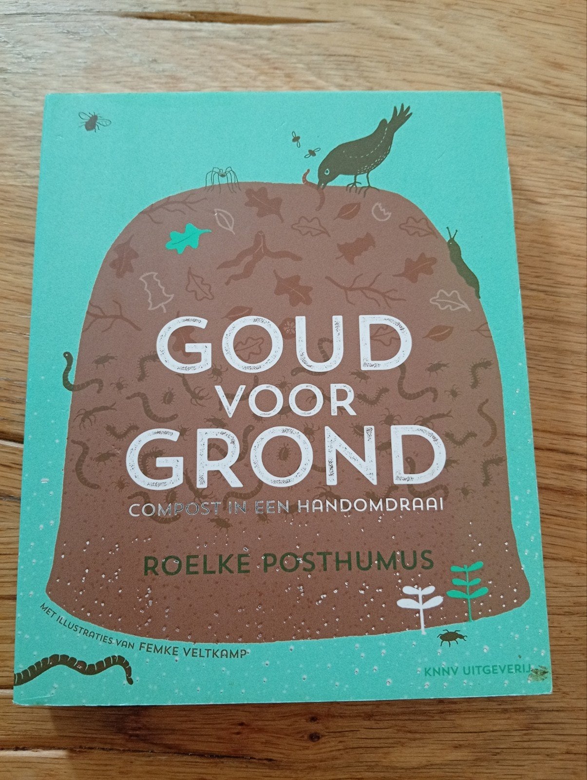 Roelke Posthumus - Goud voor grond, Ophalen of Verzenden, Interieur en Design, Roelke Posthumus, Zo goed als nieuw